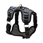 (07)هارنس مدل چیکو پلاس سایز ایکس لارژ - Image 4